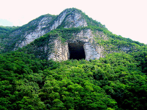 Cueva de la Boca Bat Roost